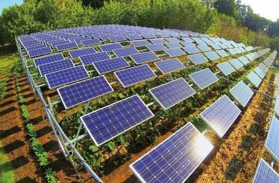 建設農光互補光伏電站有什么好處？