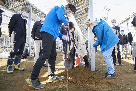福島農光互補支架安裝