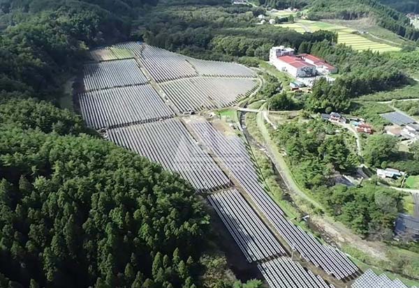 日本福島縣 3603.49kw農光互補項目